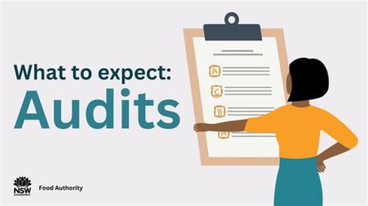 Do CPAs handle audits?
