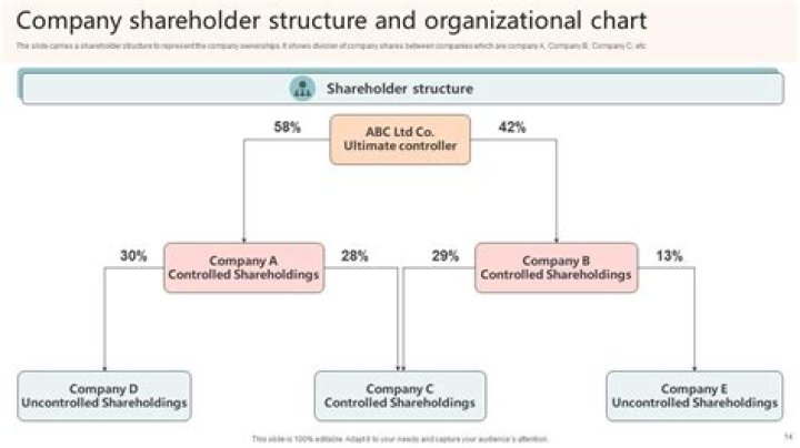 Does a majority shareholder own the company?