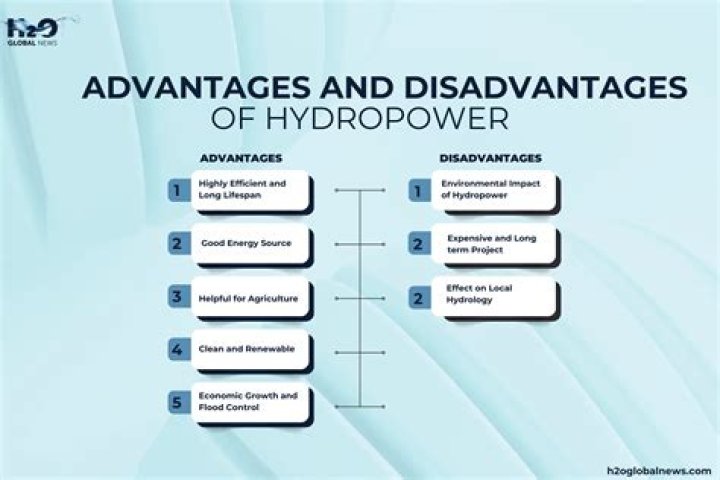 What are the advantages and disadvantages of nonprofits?