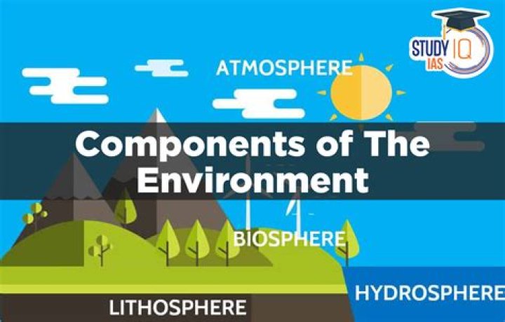 What are the components of real property?