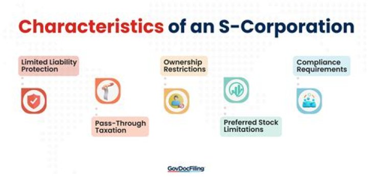 What does the S in S corp stand for?