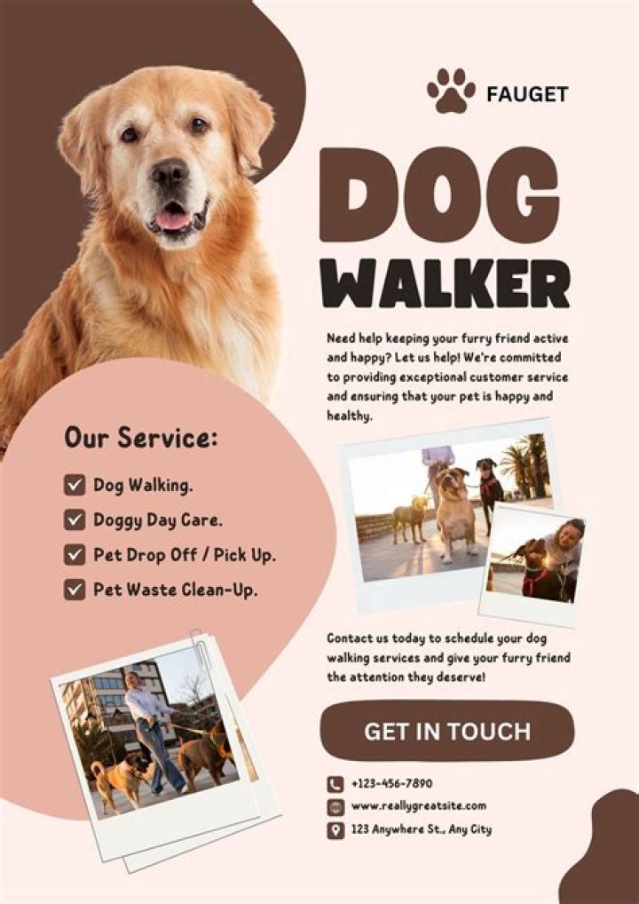 What is a fair price for dog training?