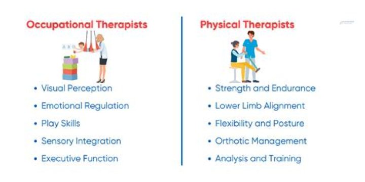 What is a physical therapist schedule?