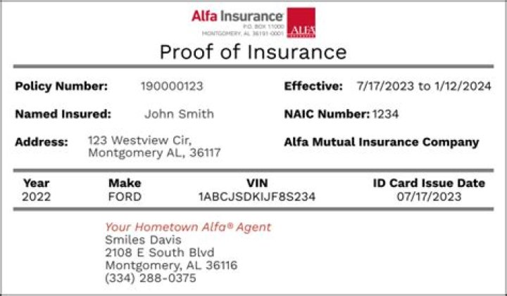 What is an insurance issue date?
