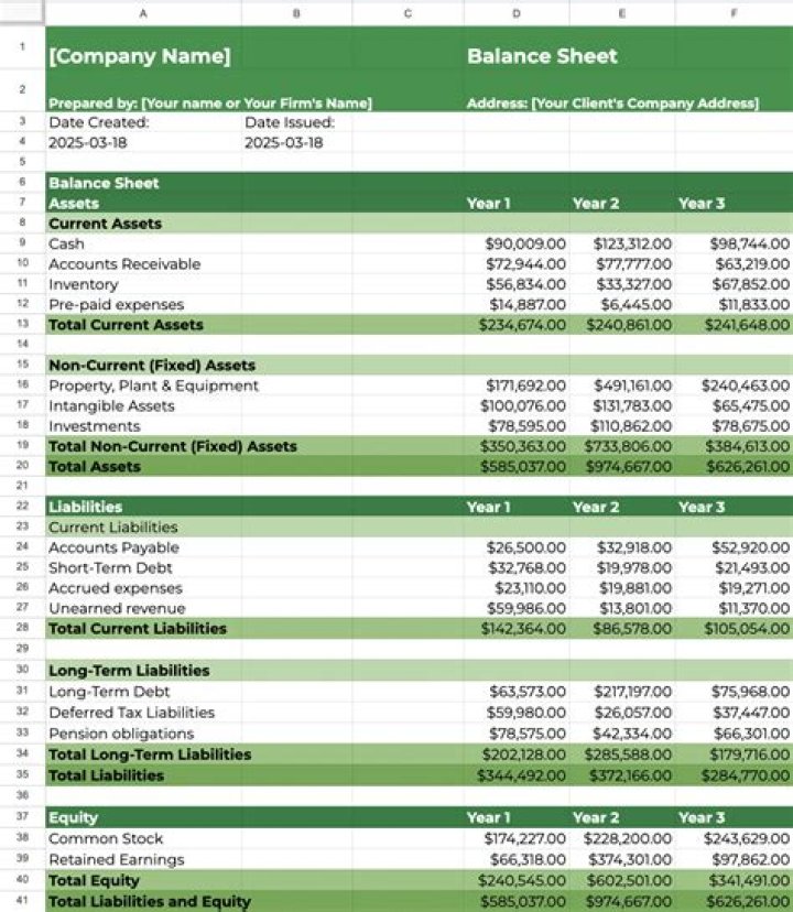 What is the term for balance sheet?